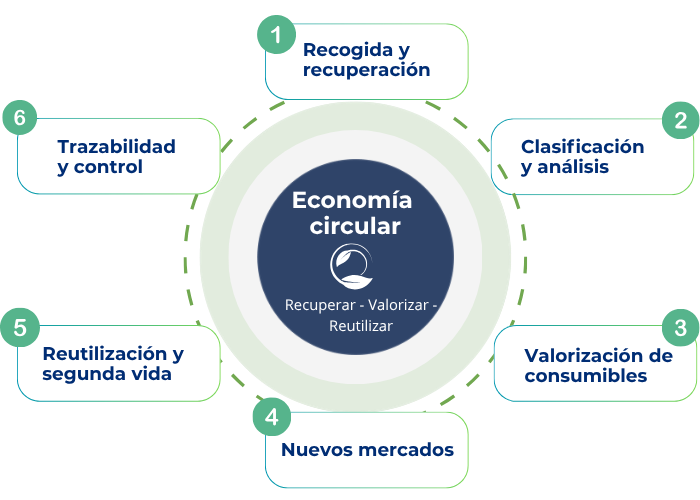recogida y recuperación (3)